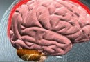 Menino de 11 anos morre em decorrência de meningite bacteriana