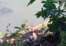 Corpo encontrado no Rio Marrecas pode ser de homem envolvido em furtos
