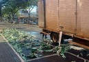 Caminhão carregado perde carga de cerveja em avenida no Oeste
