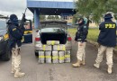 Quase 100 quilos de maconha são apreendidos pela PRF em Água Doce