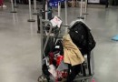 Mala de passageiro explode em área de check-in do aeroporto de Guarulhos