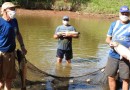 Inicia a venda de peixes para a Semana Santa