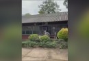 Adolescente de 16 anos é esfaqueada por colega em escola no RS