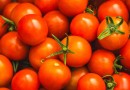 Tomate lidera queda nos preços das hortaliças em junho, aponta Conab