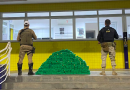 Ação conjunta da PRF e PMRv apreende cerca de 150 kg de maconha no Oeste