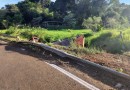 Caminhão tomba fora da pista e deixa motorista ferido no Oeste