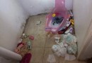 Mãe é presa por abandono após sair para se prostituir em SC