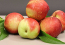 Novas cultivares de nectarinas estendem oferta de frutas para consumidores
