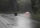 Pedra na pista causa acidente com motociclista na BR-282