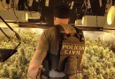 Polícia Civil descobre plantação de ‘supermaconha’