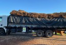 BPFRON apreende caminhão carregado de fumo