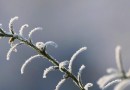 Ciclone em alto-mar causa ventos de até 80 km/h e mantém frio