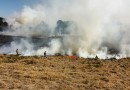 Atear fogo em lixo em terrenos baldios responde por mais de 30% dos incêndios