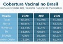 Brasil termina o ano com índices preocupantes de cobertura vacinal infantil