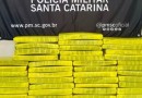Policiais encontram 31,6 kg de maconha durante fiscalização em SC
