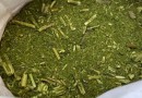 Erva-mate 'velha' é motivo de briga no Oeste de SC