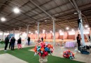 Nesse domingo será realizada a Escolha do Casal Primavera com festa para mil pessoas