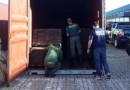 Receita Federal impede exportação ilegal de 25 toneladas de madeira nativa