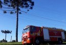 CBMSC alerta sobre cuidados na colheita do pinhão