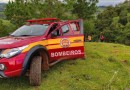 Bombeiros resgatam bovino que caiu em ribanceira no interior na Linha Jacob Maran