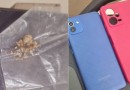Homem é detido com drogas e celular suspeito de furto