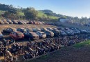 Carros e motos apreendidos em Maravilha vão a leilão
