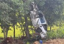 Caminhonete desgovernada bate contra árvore na PR- 566
