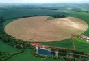 Safra 24/25 do Paraná pode chegar a 25,3 milhões de toneladas de grãos
