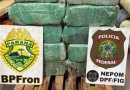 PF e PM apreendem mais de 161 quilos de maconha