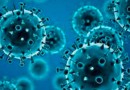 OMS mantém nível máximo de alerta para a pandemia de Covid-19