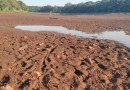 Dia Mundial da Água alerta para impactos da seca e necessidade de preservação