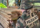 Polícia flagra serraria clandestina e apreende madeira ilegal na Serra Catarinense