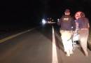 Homem e cão que caminhavam há 15 dias de Florianópolis a Chapecó são amparados na BR-282