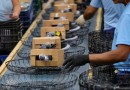 Santa Catarina lidera crescimento da atividade econômica no país com alta de 5,5%