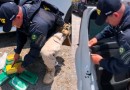 PRF e PM apreendem mais de R$ 2,8 milhões em tabletes de cocaína na BR-101