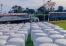 Produtores rurais de SC arrecadam e doam alimentação para rebanho bovino gaúcho