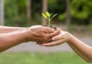 Hoje dia 5 de Junho é o Dia Mundial do Meio Ambiente