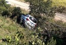 Boi na pista provoca acidente com veículo da saúde que seguia para São Miguel do Oeste
