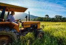 Segunda parte do Plano Safra é lançada com crédito de mais de R$ 77 bilhões para agricultura familiar