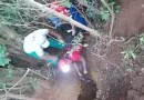 Bombeiros salvam filhote de cachorro que caiu em buraco