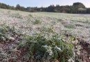 Geada transforma paisagem no município  e pontos da cidade registram -1°C
