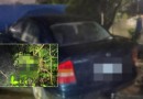 Mulher de 54 anos é morta e tem corpo ocultado em área de mata no Oeste de SC
