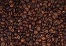 Safra de café do Brasil deve alcançar 55,67 milhões de sacas em 2025