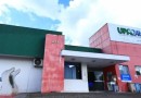 Homem de 56 anos morre após ser atacado por abelhas