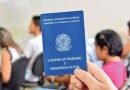 Sine oferece mais de 8,2 mil vagas de emprego em Santa Catarina; confira