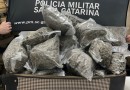 PM apreende quase 20 kg de Skunk após perseguição e cerco no Oeste de SC