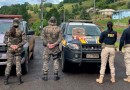 PRF localiza pássaros silvestres e filhotes de tartaruga na BR-153