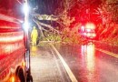 Bombeiros removem árvores caídas e liberam trecho da BR-158