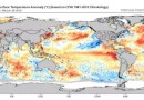 No auge do El Niño, SC poderá sofrer com eventos climáticos extremos