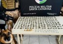 Adolescente é apreendido por tráfico de drogas em Chapecó